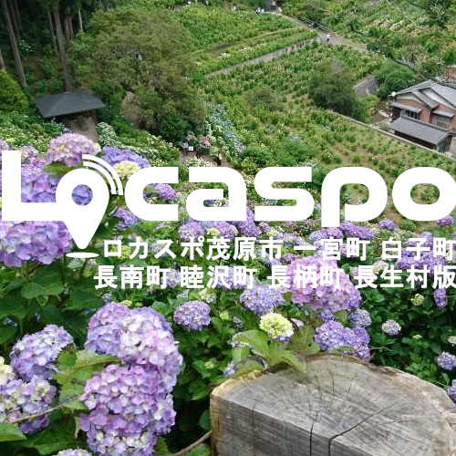 ロカスポ茂原市・一宮町・白子町・長南町・睦沢町・長柄町・長生村版編集部